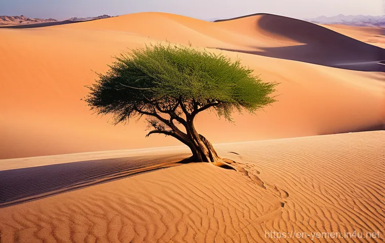 예멘의 사막 생태와 동물 - **Prompt 1: The Desert's Unseen Symphony**
A breathtaking panoramic view of an ancient, untouche...