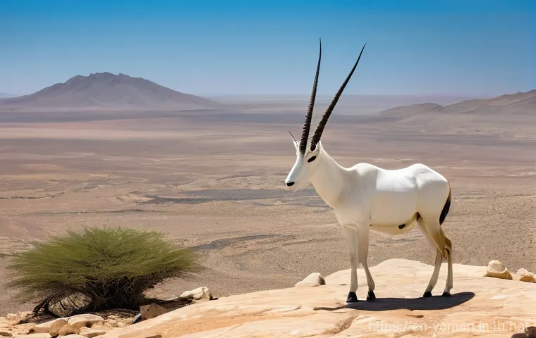 예멘의 사막 생태와 동물 - **Prompt 1: The Desert's Unseen Symphony**
A breathtaking panoramic view of an ancient, untouche... 예멘의 사막 생태와 동물 - **Prompt 1: The Desert's Unseen Symphony**
A breathtaking panoramic view of an ancient, untouche...