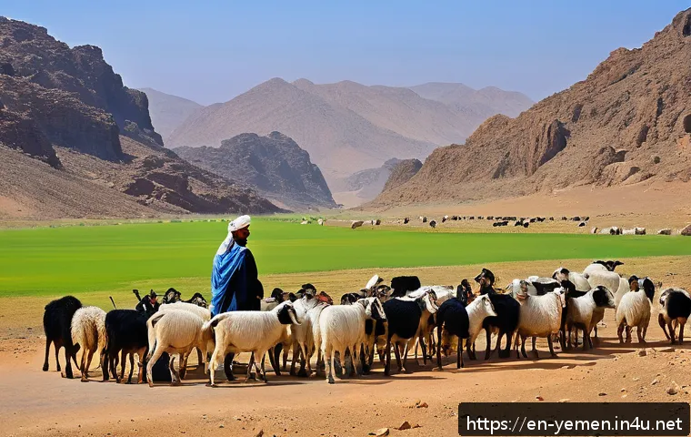 예멘 가축 사육 및 농업 - A vibrant pastoral scene showing Yemeni herders using a combination of traditional nomadic herding m...